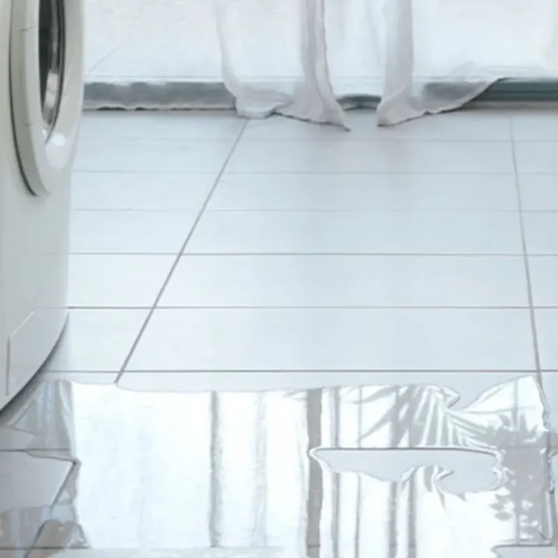 Appliance Leak Cleanup in Marion County, MO