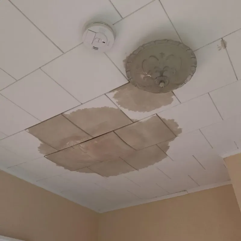 Ceiling Water Damage Repair in Marion County, MO
