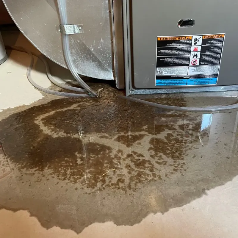 Pipe Burst and Leak Restoration in Marion County, MO
