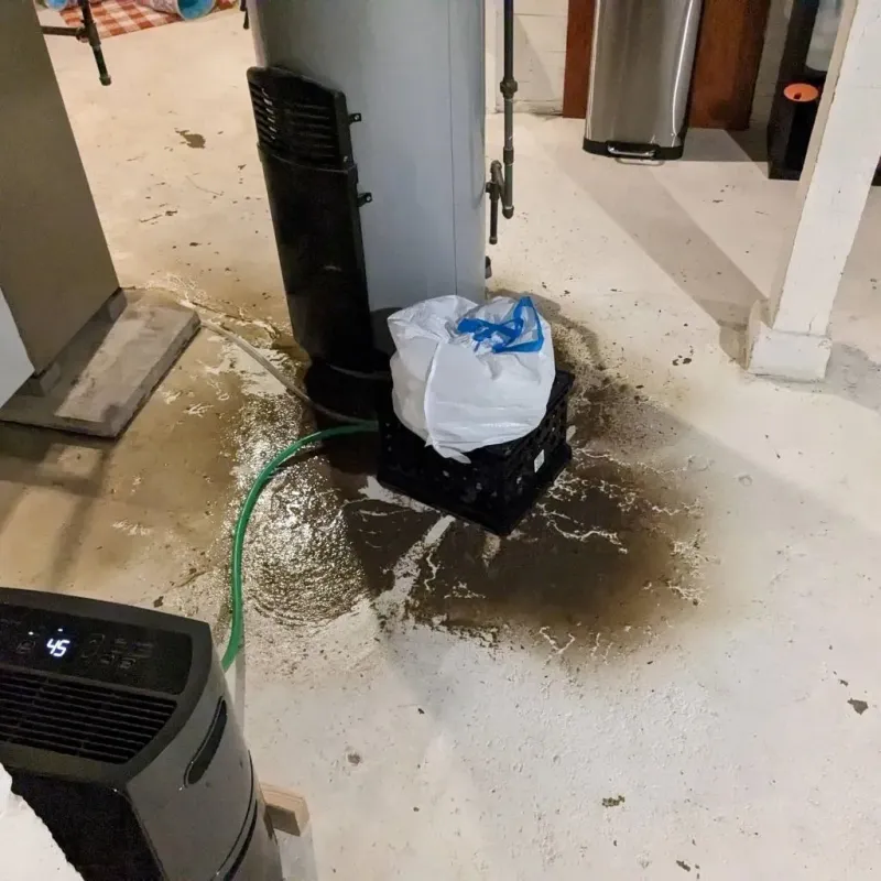 Sewage Backup Cleanup Service in Marion County, MO
